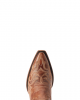 Ariat - Hazen