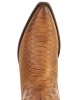 Mayura Alabama 2524 Cognac